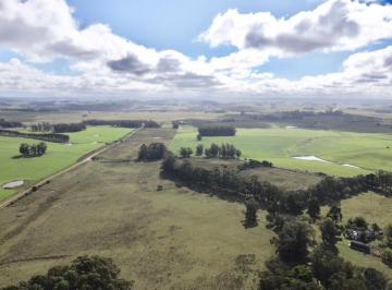 Campo · 3590000ha · Campo en Rocha