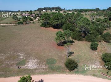 Terreno · 4000m² · Terreno - José Ignacio