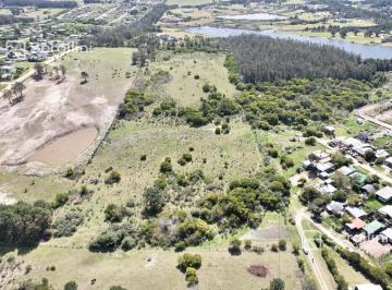 Terreno · 50000ha · Terreno en Venta