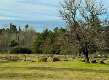 Terreno · 10430m² · Ha en Atos Pampa