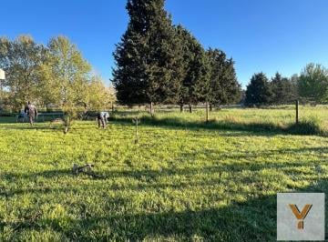 Terreno · 1400m² · Terreno en Venta - 1.400 m² - San Vicente