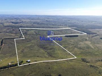 Foto1 · Campo Ganadero de 182 Hectáreas en Paraje Carapé. Maldonado