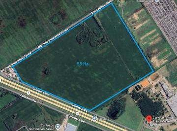 Terreno · 552220m² · Venta Fraccion 55 Ha Ruta 9 y Camino de La Costa Brava Zarate
