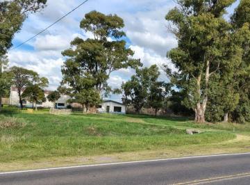 Campo · 200ha · Chacra en Venta 16ha en Rta Nac. 226 y 3 - Azul