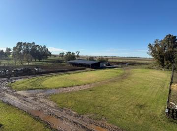 Campo · 334ha · Campo Mixto en Venta 334 Has, Ranchos, General Paz