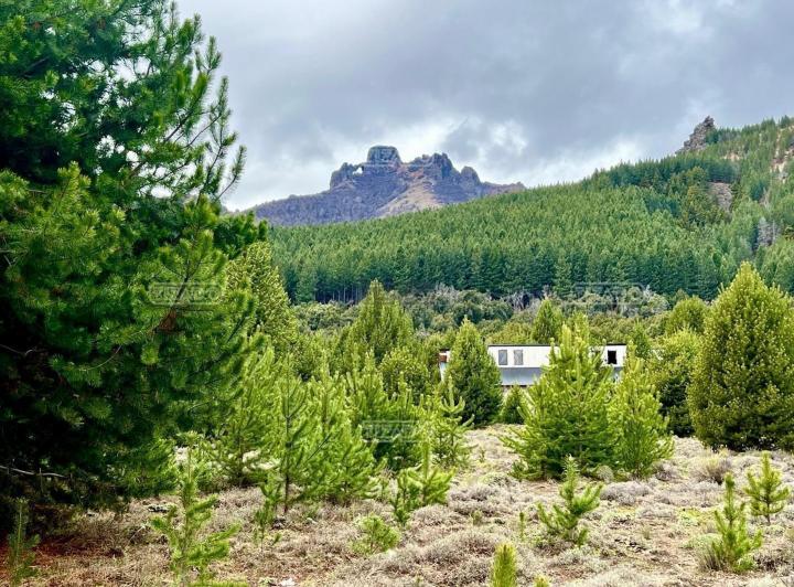 Terreno · 1000m²