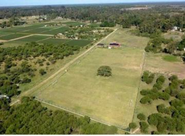 Terreno , San José del Rincón · Complejo Deportivo de 4.8 Hectáreas en Venta en San José del Rincón