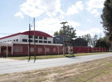 Bodega-Galpón , Córdoba · Camino Monte Cristo 6000 m² Todos Los Servicios Galpon Alquiler Ampliacion Palmar