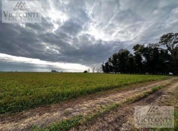 Campo , Chascomús · Campo Mixto de 150 Ha Chascomús, Provincia de Buenos Aires