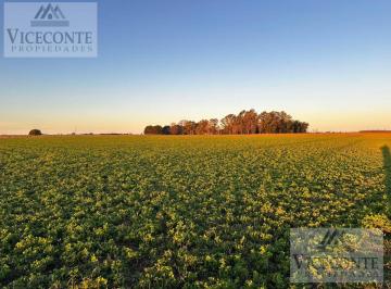 Campo , Chascomús · Campo Mixto de 150 Ha Chascomús, Provincia de Buenos Aires