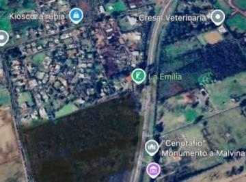 Campo · 100m² · 1 Ambiente · Campo en Ruta 28
