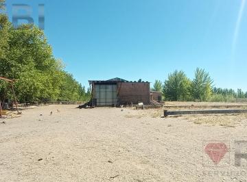 Bodega-Galpón · 300ha · Galpón Ubicado en La Ciudade de Senillosa, Provincia de Neuquén.