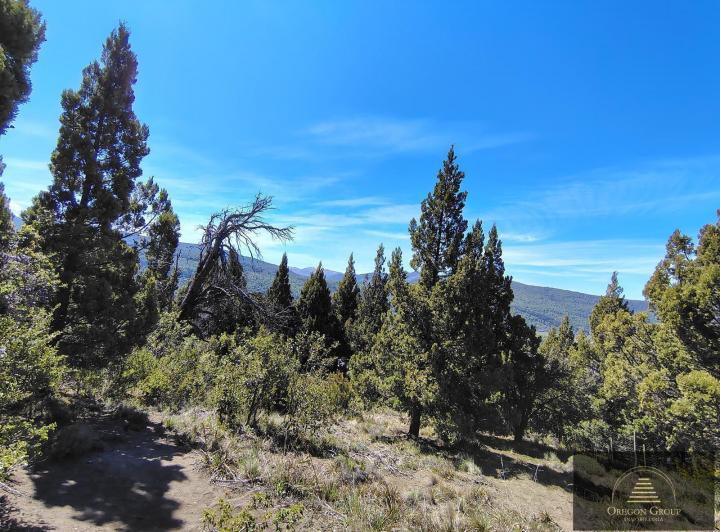 Terreno · 2754m²