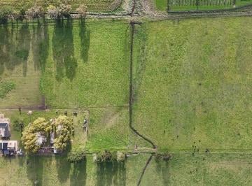 Campo · 220m² · 3 Ambientes · Campo en Venta | 6.5 Ha en Sierra de Los Padres