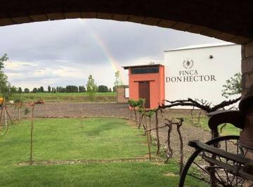 Bodega-Galpón , Lavalle · Venta o Alquiler de Bodega Premium en Mendoza 35.000 m²