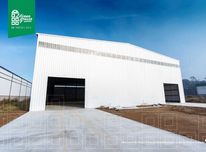 Bodega-Galpón · 1800m²