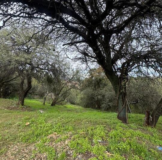 Terreno · 2000m² · 1 Ambiente