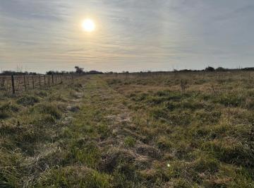Campo · 14ha · Venta de Campo en Atalaya Magdalena.