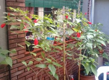 PH de 3 ambientes, Velez Sarsfield · PH 3 Ambientes en 2 Plantas con Patio y Terraza