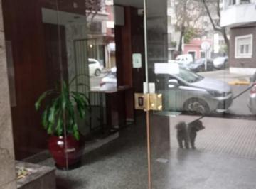 Departamento de 3 ambientes, Caballito · Alquiler de 3 Amb. Mas Dependencia o Escritorio, Calasanz 200 Caballito