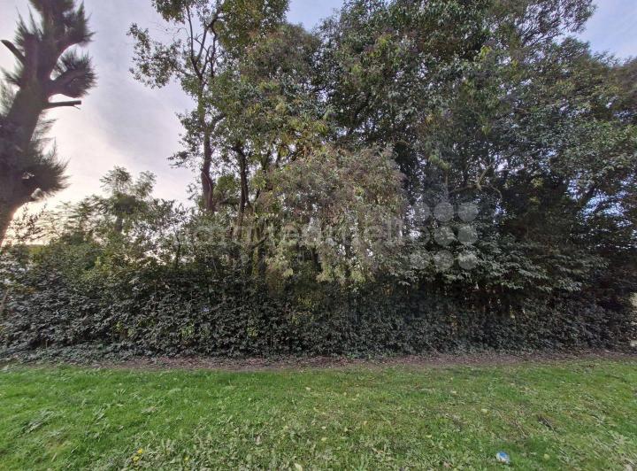 Terreno · 990m²