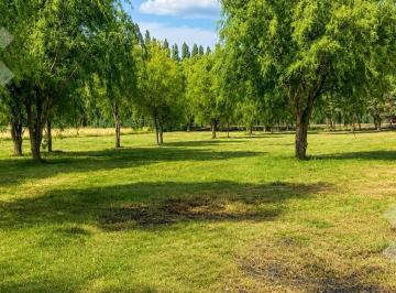 Terreno · 800m² · Venta / Permuta 2 Lotes Linderos, en "La Quinta I" - Vista Alegre Norte - Neuquen