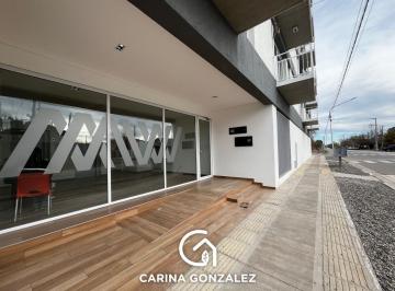 Departamento · 45m² · 2 Ambientes · Alquiler Departamento 1 Dormitorio - Neuquen - Capital