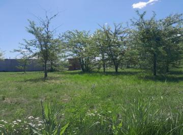 Terreno · 370m² · Lotes en Venta | Las Acacias | Pontevedra