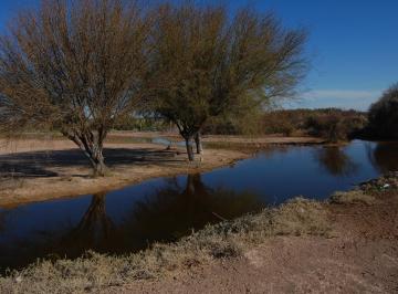 Campo · 5971ha · Campo Agrícola Ganadero en Venta Mendoza