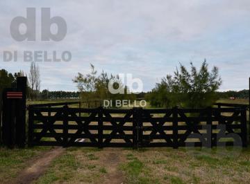 Chacra en venta · Chacra en Estancia Benquerencia