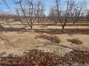 Campo , Rivadavia · Se Vende Fincas
