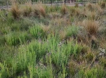 Terreno · 504m² · Lote en Potrero de Garay B° Pampa Alta
