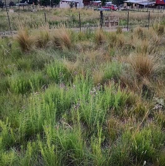 Terreno · 504m²