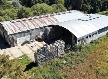 Depósito · 1800ha · Galpón de 1800 m² Sobre Ruta Lima - Atucha! 3 Camaras Frigorificas.