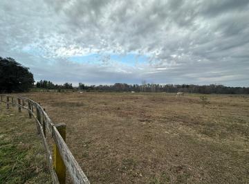 Terreno · 36811m² · Terreno en Venta en Haras Argentino Farm Club