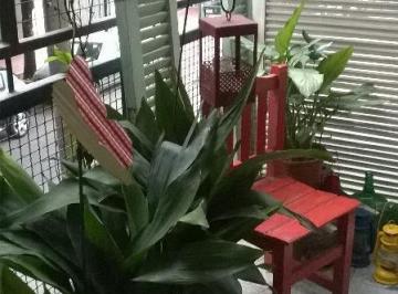 Departamento · 32m² · 1 Ambiente · Muy Lindo Monoambiente en Acassuso