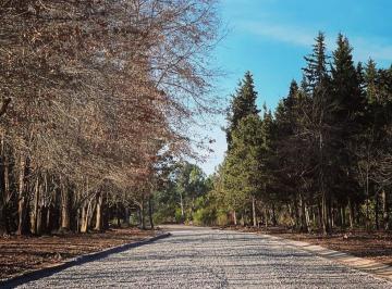 Terreno · 361m² · Terreno en Venta - 361.14 m² - Parque San Jerónimo, Pilar