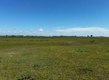 Campo , La Plata · Campo 9 Ha en Venta - Ruta 11 Km 15 La Plata