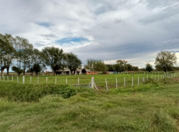 Campo · 200m² · 4 Ambientes · Campo en Maximo Paz