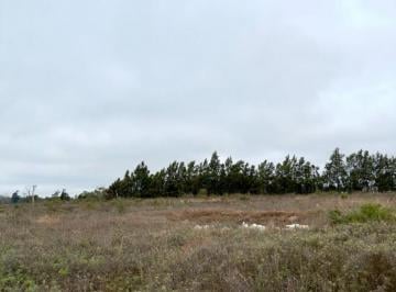 Campo · 4m² · Campo en Venta