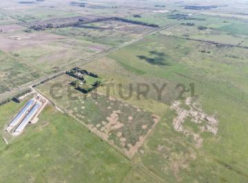 Campo · 30m² · 3 Ambientes · Campo. Chacra. Fraccion. Ruta 36 y Cruce con Bavio. Partido de Magdalena. 30 Ha en Venta