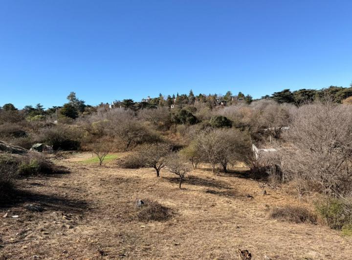 Terreno · 1046m²