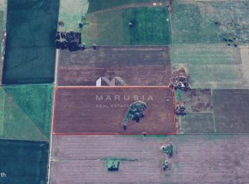 Campo · 10m² · Terreno Campo en Venta en Suipacha, Resto de La Provincia, Buenos Aires