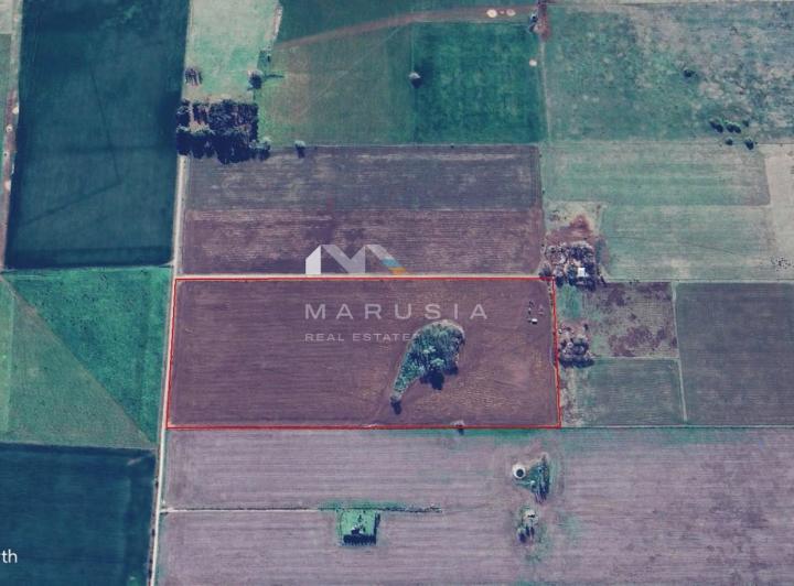 Campo · 10m²