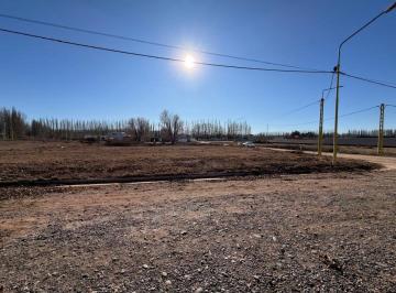 Terreno , Centenario · Venta Lote La Consuelo. Centenario