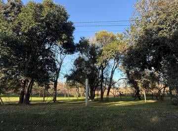Terreno · 450m² · Villa Catalina - 450 m - Escritura - Gran Oportunidad!