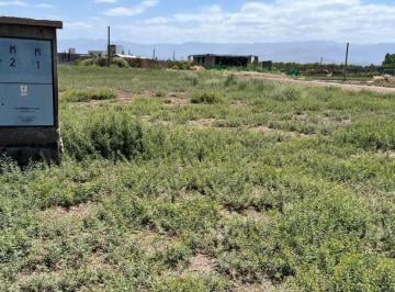 Terreno , El Sauce · Inprogroup Vende Lote