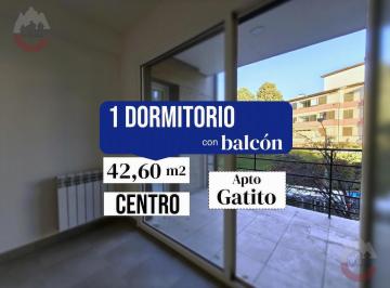 Departamento · 42m² · 2 Ambientes · Departamento 1 Dormitorio en Alquiler, con Balcón.