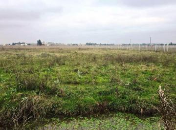 Campo · 1ha · Venta de 1.2 Ha en Cañuelas