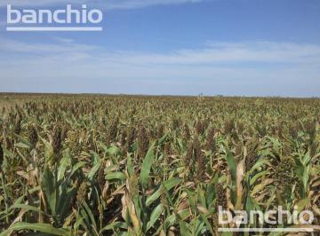 Campo · 1500000ha · Campo Ganadero - San Genaro